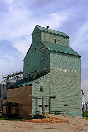 Former Alberta Wheat Pool elevator along the disused CPR tracks.