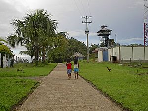 Puerto Narinno-Amazonas-Colombia.jpg