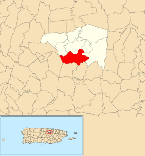 Location of Quebrada Cruz within the municipality of Toa Alta shown in red