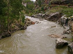Río Lauricocha en época de avenida 03118