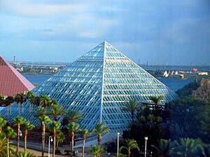 Rainforest Pyramid Moody Gardens