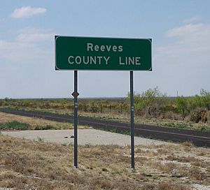 Reeves County Line Marker