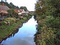 River salwarpe
