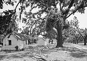 Slave Quarters at McCleod Plantation (Charleston County, South Carolina)