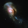 Snakes and Stones NGC 4194