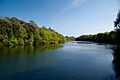 Stackpole Lily Ponds (May 2010)