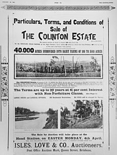StateLibQld 2 47760 Advertisement for the sale of the Colinton Estate, Colinton, ca. 1904
