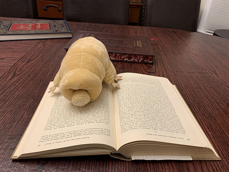 Tardigrade reading a book
