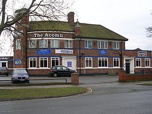 The Acomb - Tudor Road - geograph.org.uk - 1739953