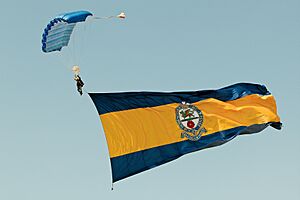 Tiger Army Parachute Display Team - Little Gransden (48647632948)