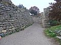 Troy walls VII and IX