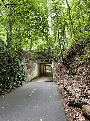 Underpass Tunnel at S Hurt Rd