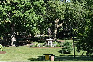 University of Michigan–Flint July 2018 3 (Willson Park)
