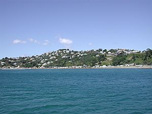 Worser Bay, Seatoun from Wellington Harbour Ferry.jpg