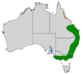 YellowfacedHEmap