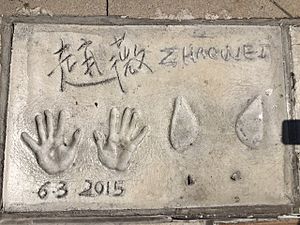Zhaoweihandprints