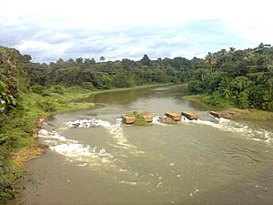 View of Kallada River from Enathu Bridge