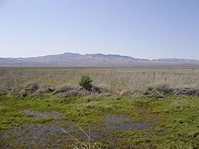 2012-05-28 View across the Humboldt Salt Marsh near Lovelock in Nevada.jpg