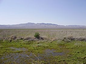 2012-05-28 View across the Humboldt Salt Marsh near Lovelock in Nevada.jpg