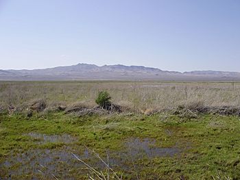 2012-05-28 View across the Humboldt Salt Marsh near Lovelock in Nevada.jpg