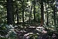 20140908 Ben Eoin Provincial Park & Trail 05