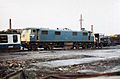 83001 - Vic Berrys Leicester (10341805155)