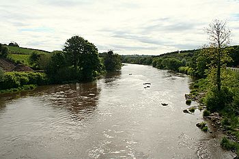 A "Brown flood" on the Mourne at Victoria Bridge. - geograph.org.uk - 434468.jpg