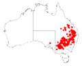 Acacia melvilleiDistMap590