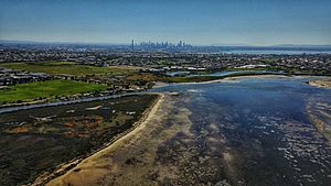 Aerial vista of the Melbourne CBD from Altona Coastal Park