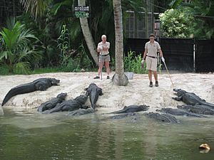 Alligator Bay at Naples Zoo
