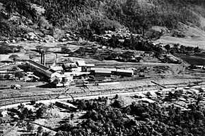 Babinda Sugar Mill, aerial view, circa 1964