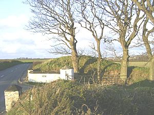 Ballavarry Burial Mound, Andreas - geograph.org.uk - 59515.jpg