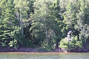 Basswood Island Wisconsin Brownstone Company Quarry Path