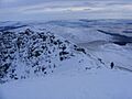 Ben Lomond - summit ridge