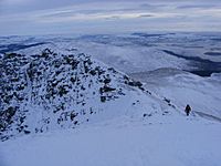 Ben Lomond - summit ridge