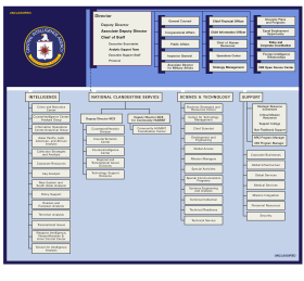 CIA ORG Structure