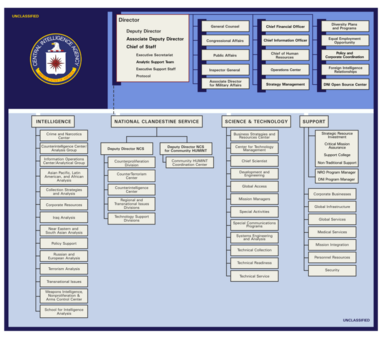 CIA ORG Structure