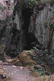 Capricornia Caves Entrance