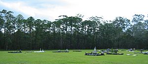 Carbrook Lutheran Cemetery - low wide view, 2005.jpg