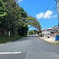 Carretera PR-173, Cidra, Puerto Rico