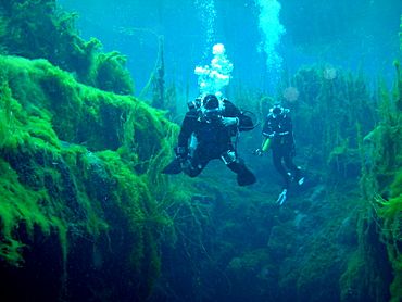 Cave diving scene at Piccaninnie Ponds showing two divers