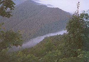 Cumberland Gap foggy