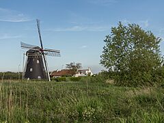 Etten- Leur, de Zwartenbergse molen RM15433 foto3 2015-05-24 19.26