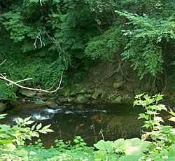Euclid Creek as it flows through the Cleveland Metroparks reservation, part of which was once the site of South Euclid's bluestone quarries.