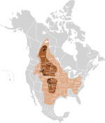 Extermination of bison to 1889