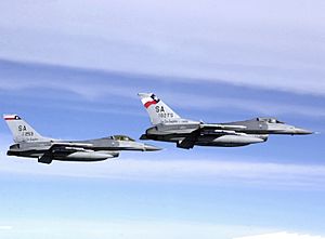 F-16Cs Texas ANG in flight 2002
