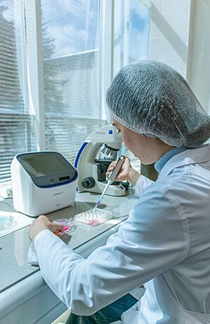 Faculty of Food Engineering and Biotechnology 4