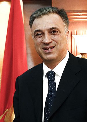 Filip Vujanović June 2015 (cropped).jpg