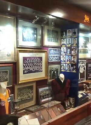 Fitzroy-Brisbane Lions historical society at Docklands stadium, Melbourne