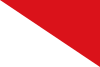Flag of Ricaurte